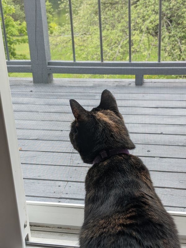 Door Sweep Installation